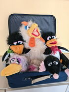 Pinguine können keinen Käsekuchen backen